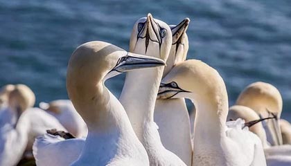 大理高价上海医保提取2025的最新政策(2025年大理上海医保怎么提取现金分享)