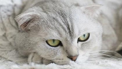 大理医保现金报销多久到账的最新政策(2025年大理医保报销的钱是现金还是打卡分享)