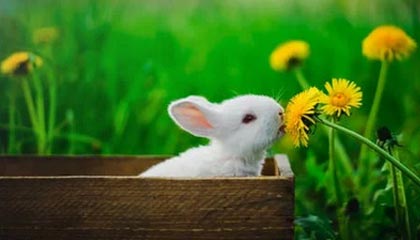 大理高价上海医保提取2025的最新政策(2025年大理上海医保怎么提取现金分享)